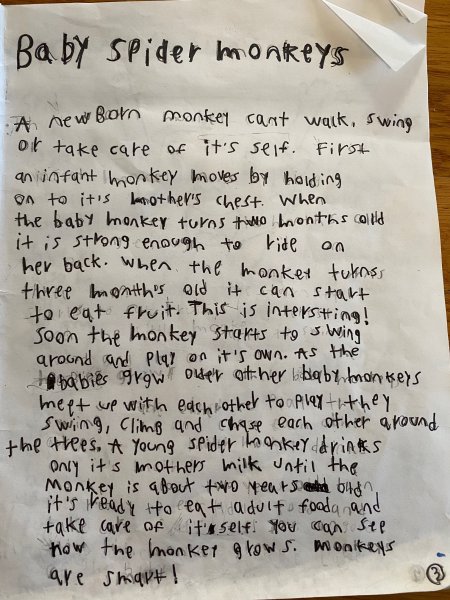 Book Page