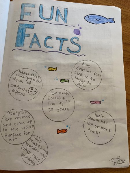 Book Page