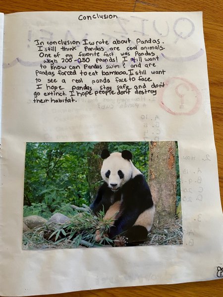 Book Page