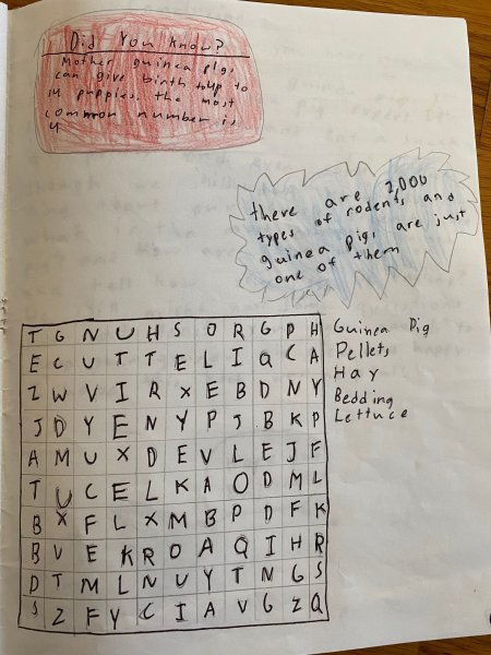 Book Page