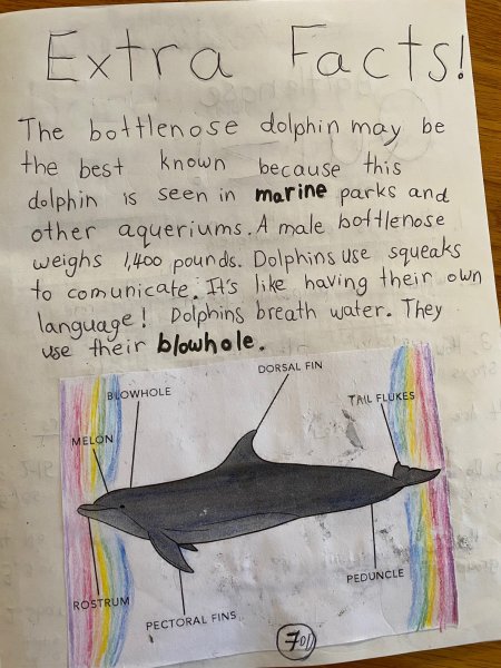 Book Page