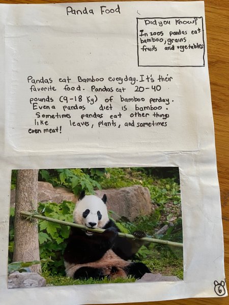 Book Page