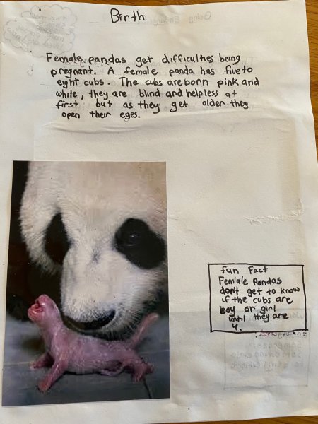 Book Page