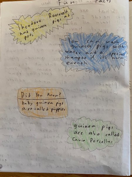 Book Page