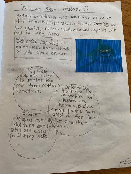 Book Page