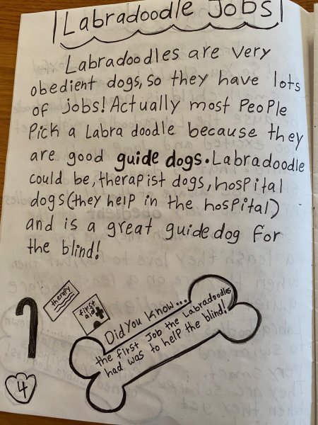 Book Page