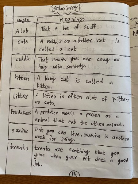 Book Page