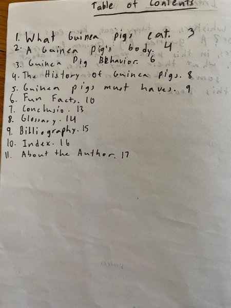 Book Page