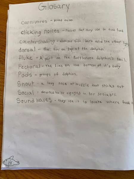 Book Page