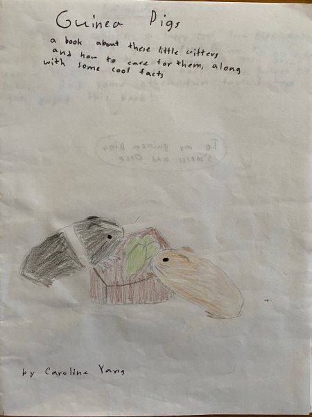 Book Page