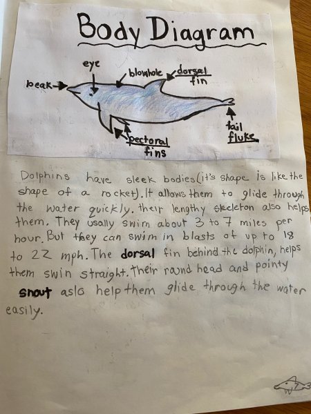 Book Page