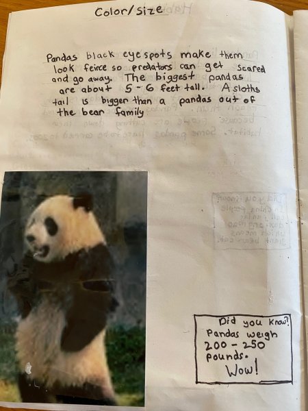 Book Page