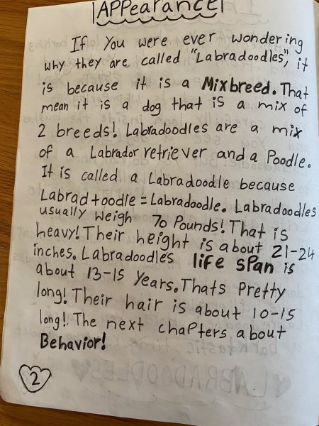 Book Page