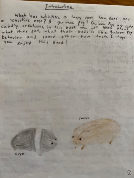 Book Page