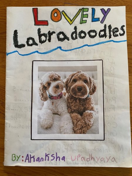 Book Page