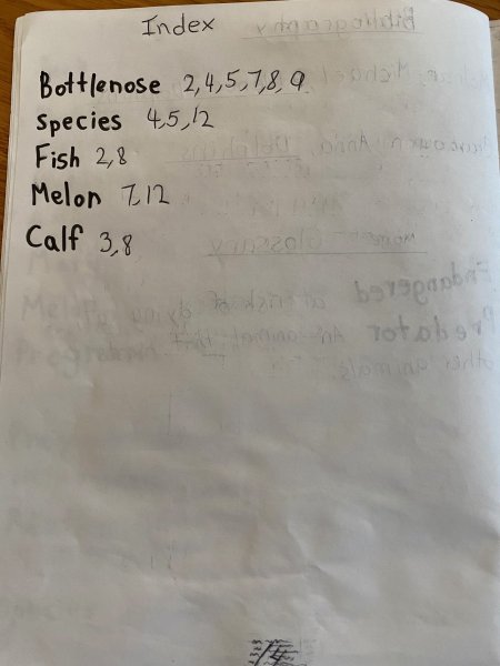 Book Page