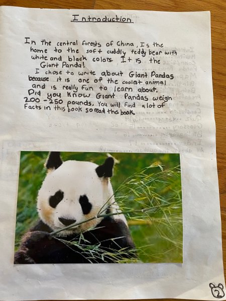 Book Page