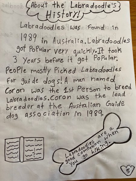 Book Page
