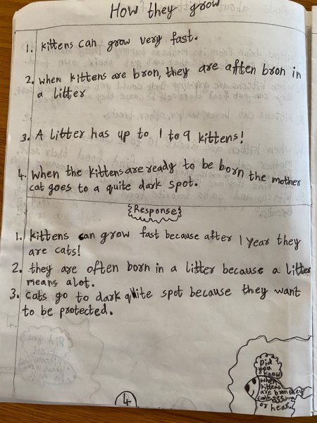 Book Page