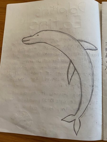 Book Page