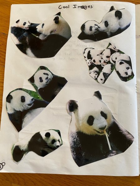 Book Page