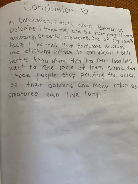 Book Page