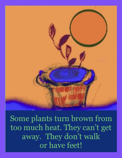 Book Page