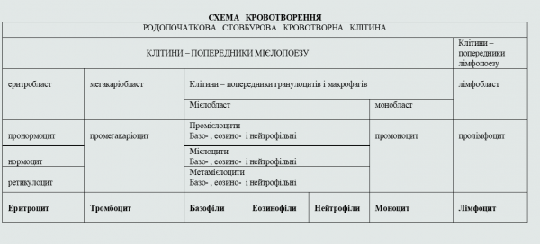 Book Page
