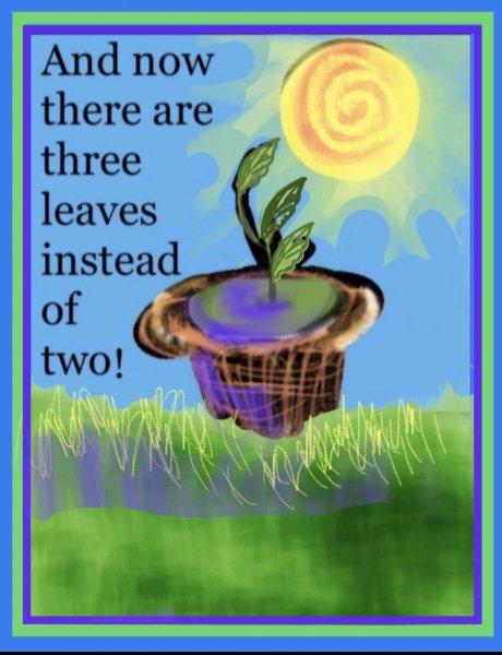 Book Page