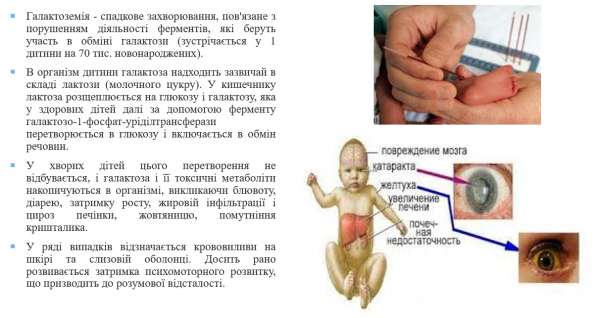 Book Page