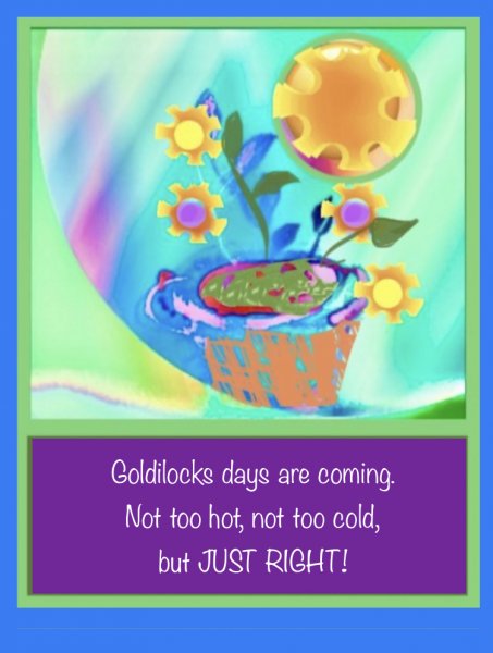Book Page