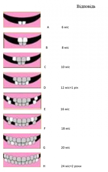 Book Page
