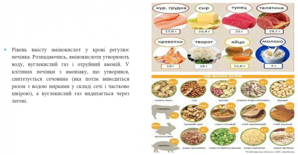 Book Page