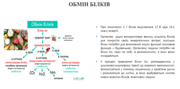 Book Page