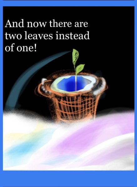 Book Page