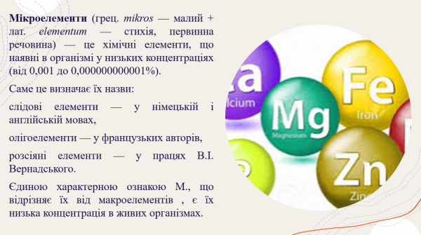 Book Page