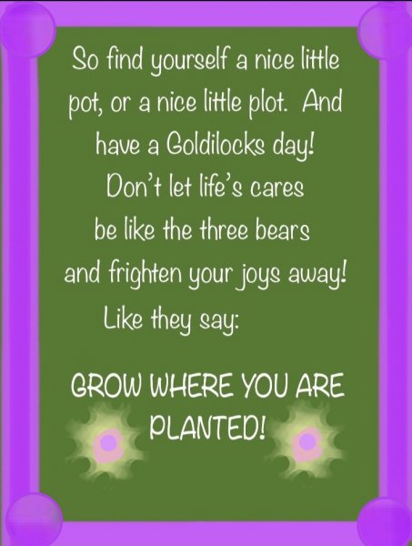 Book Page