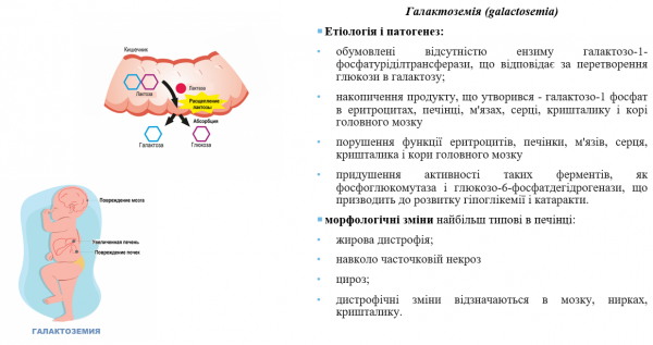 Book Page