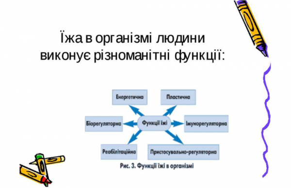 Book Page