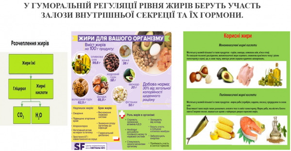Book Page