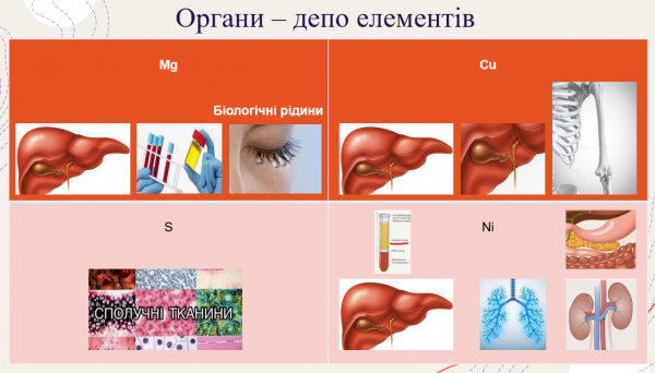 Book Page