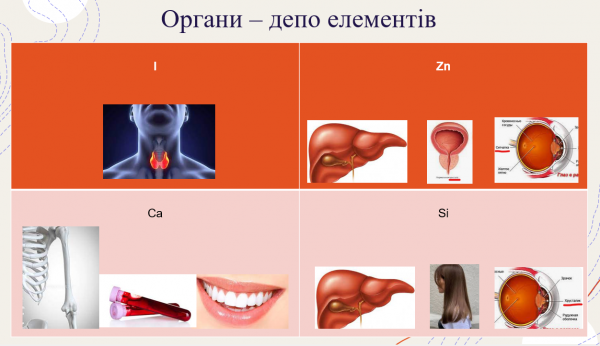 Book Page
