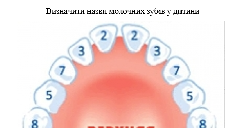 Book Page