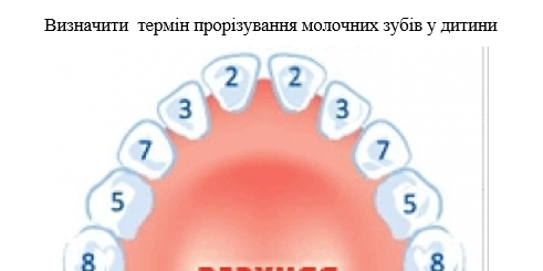 Book Page