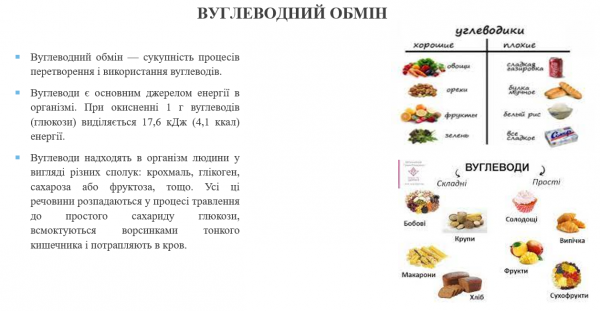 Book Page