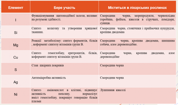 Book Page