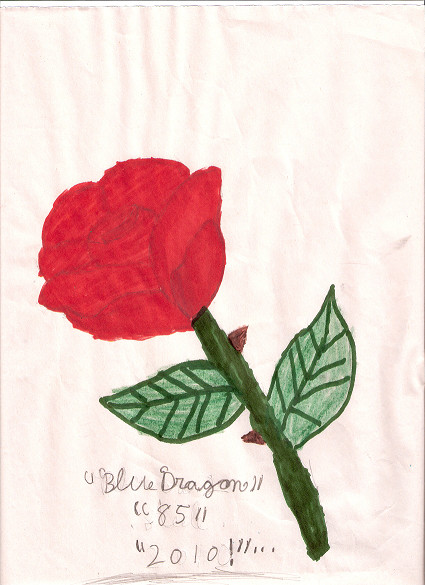Book Page