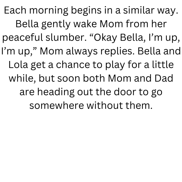 Book Page