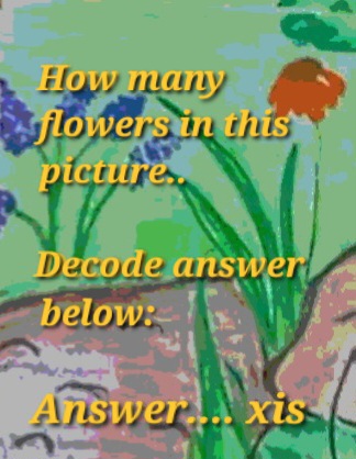 Book Page