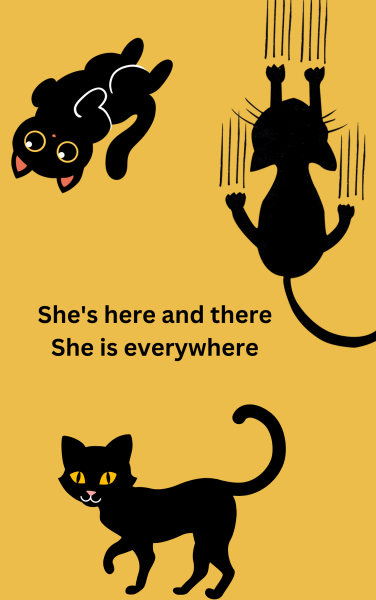 Book Page